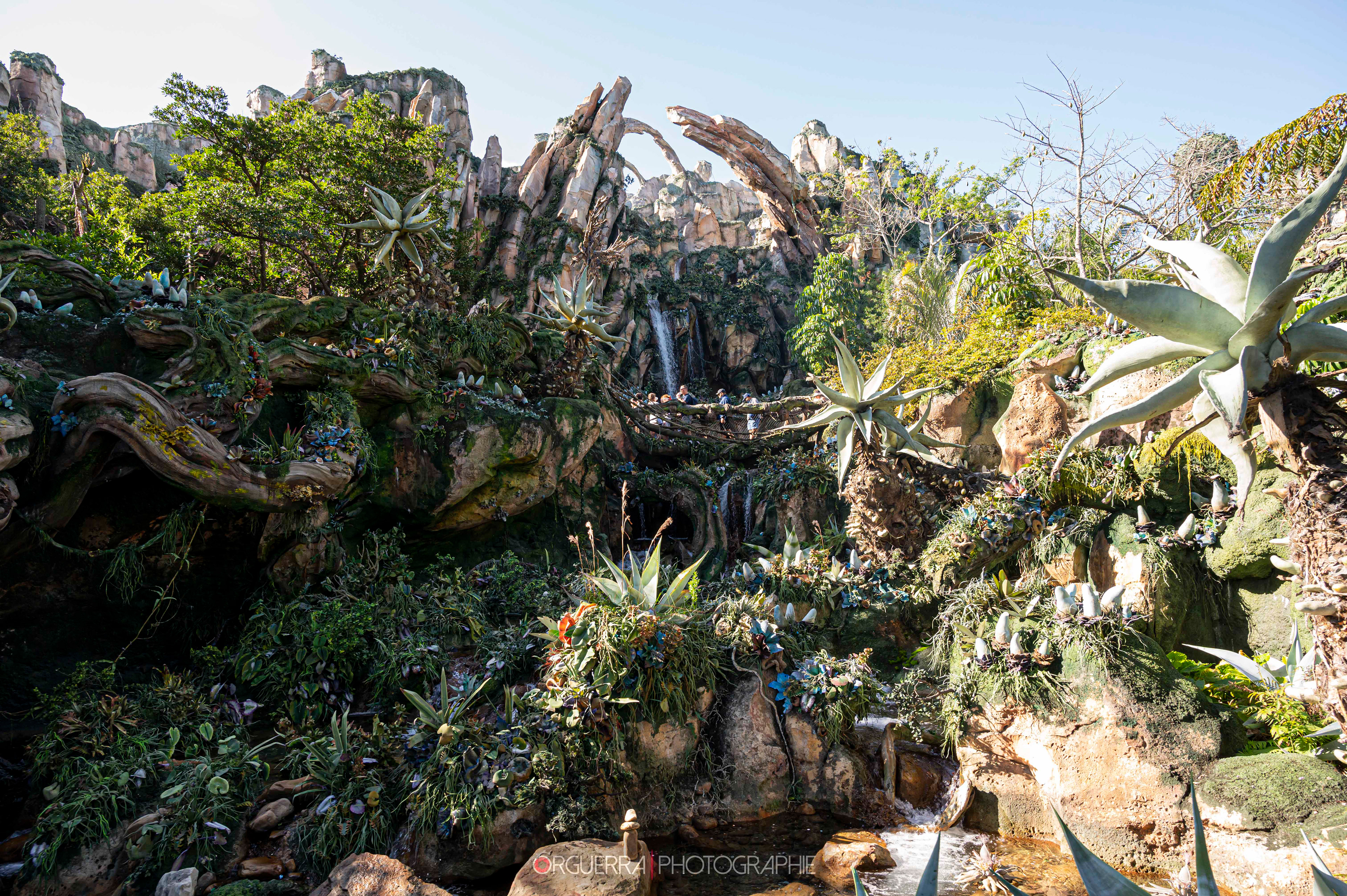Magic Kingdom | Walt Disney World